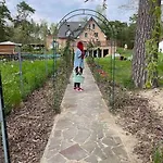 Seeblick Zwei Im Waldschloesschen * 文迪施里茨
