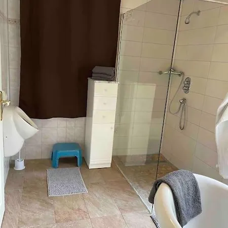 Seeblick Zwei Im Waldschloesschen *